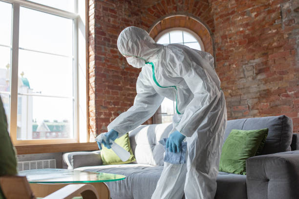 Why You Should Choose Our Mold Remediation Services in South Fulton, GA