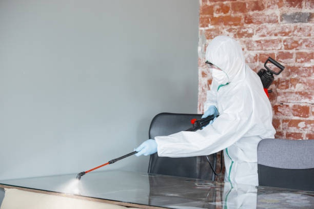 Best Asbestos and Lead Testing During Mold Inspection in South Fulton, GA